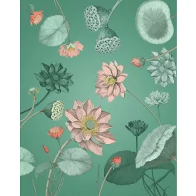 Komar / Home Imagine Edition 4 poszter