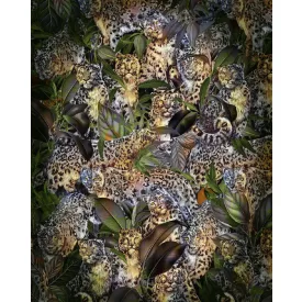 Komar / Home Imagine Edition 4 poszter