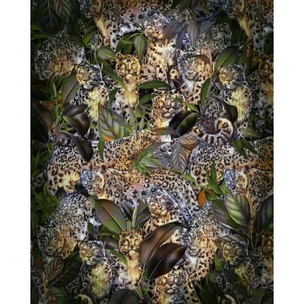 Komar / Home Imagine Edition 4 poszter