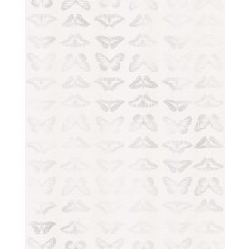 Komar / Home Imagine Edition 4 poszter