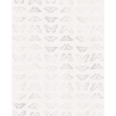 Komar / Home Imagine Edition 4 poszter