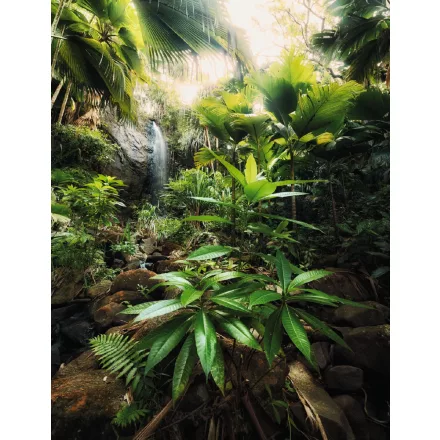 Komar / Home Imagine Edition 4 poszter