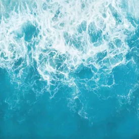 Komar / Home Imagine Edition 4 poszter