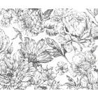 Komar / Home Imagine Edition 4 poszter