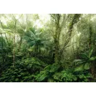 Komar / Home Imagine Edition 4 poszter