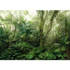 Komar / Home Imagine Edition 4 poszter