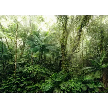 Komar / Home Imagine Edition 4 poszter