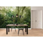 Komar / Home Imagine Edition 4 poszter