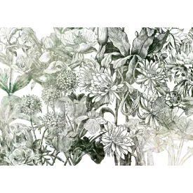 Komar / Home Imagine Edition 4 poszter