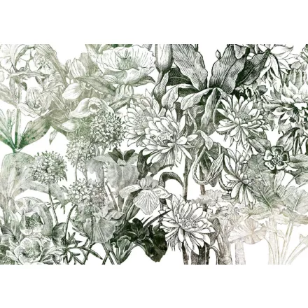 Komar / Home Imagine Edition 4 poszter