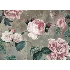 Komar / Home Imagine Edition 4 poszter