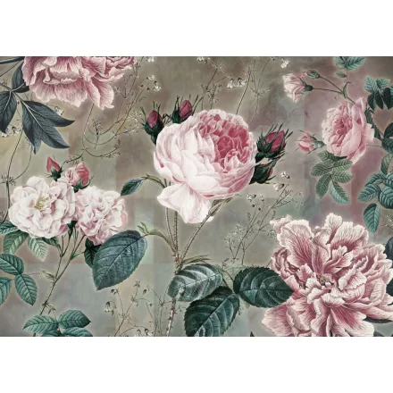 Komar / Home Imagine Edition 4 poszter