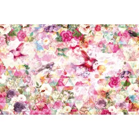 Komar / Home Imagine Edition 4 poszter