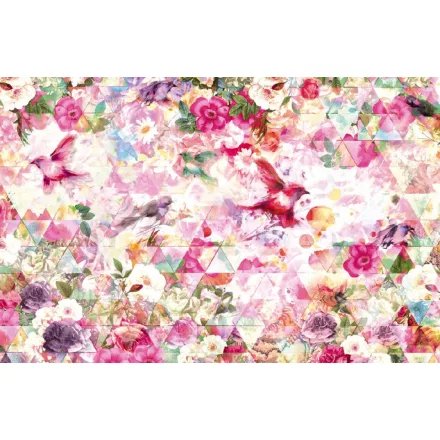 Komar / Home Imagine Edition 4 poszter