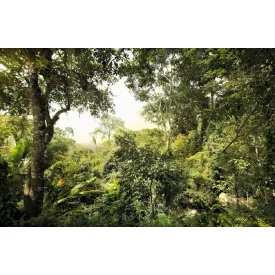 Komar / Home Imagine Edition 4 poszter