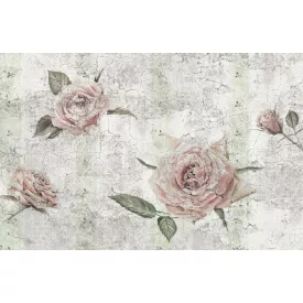 Komar / Home Imagine Edition 4 poszter