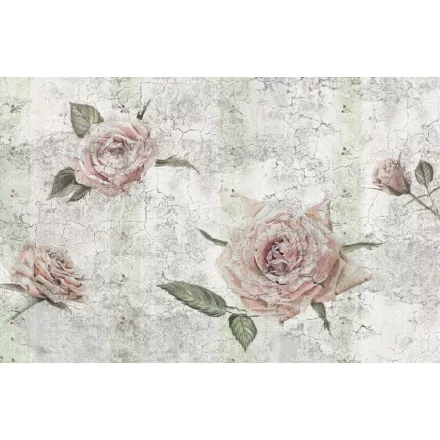 Komar / Home Imagine Edition 4 poszter