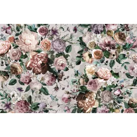 Komar / Home Imagine Edition 4 poszter