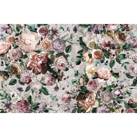 Komar / Home Imagine Edition 4 poszter