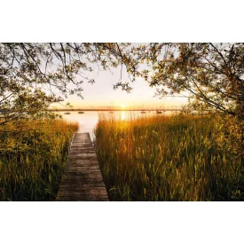 Komar / Home Imagine Edition 4 poszter