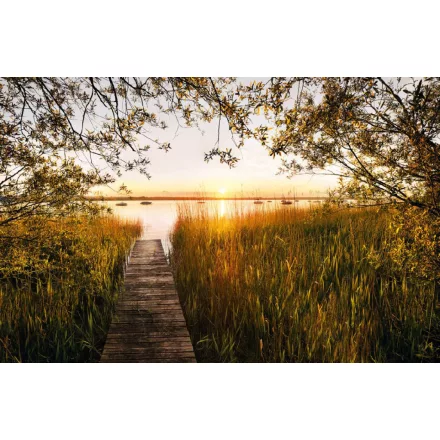 Komar / Home Imagine Edition 4 poszter