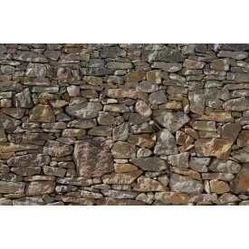 Komar / Home Imagine Edition 4 poszter