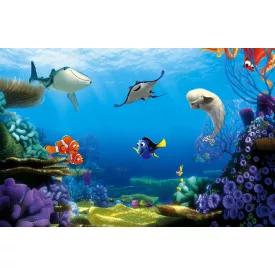 Komar / Home Imagine Edition 4 poszter