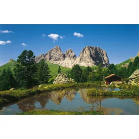 Komar / Home Imagine Edition 4 poszter