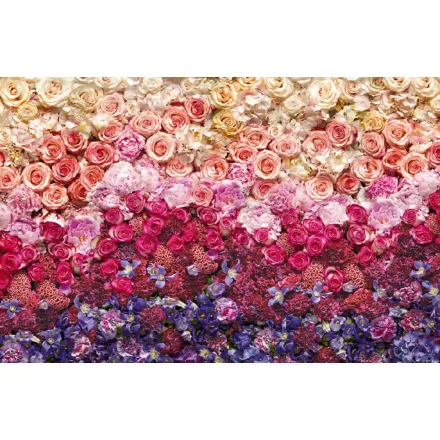 Komar / Home Imagine Edition 4 poszter