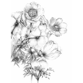 Komar / Into Illusions Edition 2 poszter