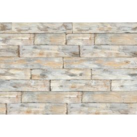 Komar / Into Illusions Edition 2 poszter