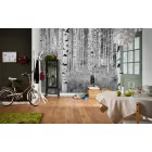 Komar / Into Illusions Edition 2 poszter