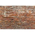 Komar / Into Illusions Edition 2 poszter