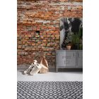 Komar / Into Illusions Edition 2 poszter