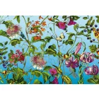 Komar / Into Illusions Edition 2 poszter