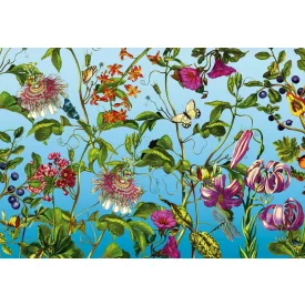 Komar / Into Illusions Edition 2 poszter