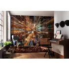 Komar / Into Illusions Edition 2 poszter