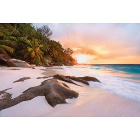 Komar / Into Illusions Edition 2 poszter