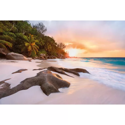 Komar / Into Illusions Edition 2 poszter