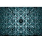 Komar / Into Illusions Edition 2 poszter