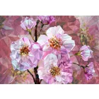 Komar / Into Illusions Edition 2 poszter