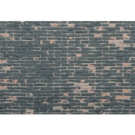 Komar / Into Illusions Edition 2 poszter