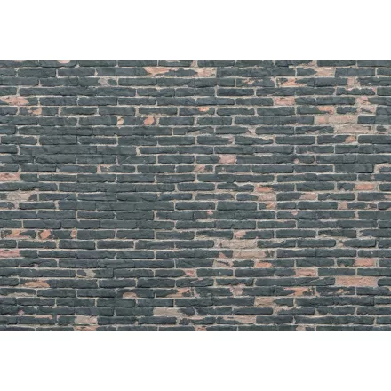 Komar / Into Illusions Edition 2 poszter