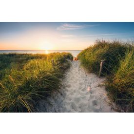 Komar / Into Illusions Edition 2 poszter