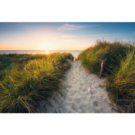 Komar / Into Illusions Edition 2 poszter