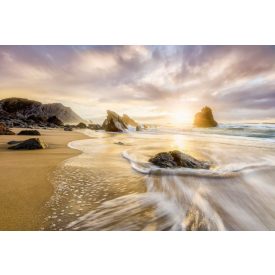 Komar / Into Illusions Edition 2 poszter