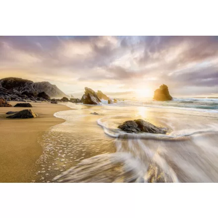 Komar / Into Illusions Edition 2 poszter