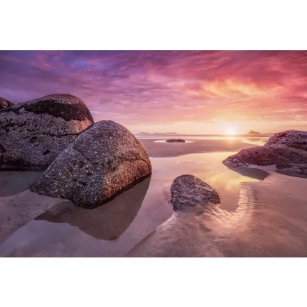 Komar / Into Illusions Edition 2 poszter