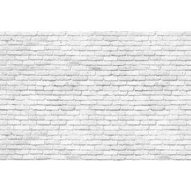 Komar / Into Illusions Edition 2 poszter