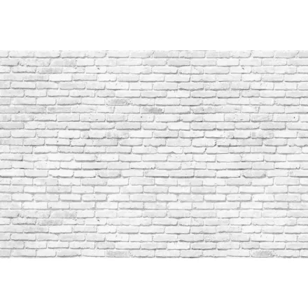 Komar / Into Illusions Edition 2 poszter